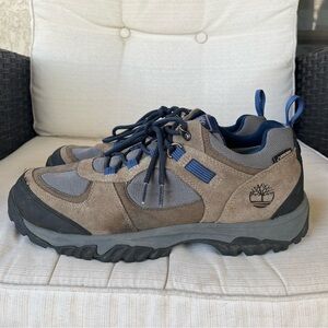 Mens Timberland Mt. Major Gore-Tex Hiker Boots